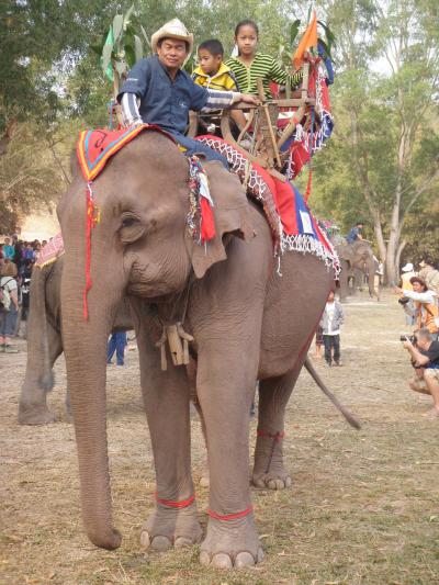 ラオス北部・北タイ旅行記2010.2 その４　サイニャブリ象祭り１日目