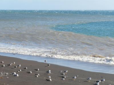 年末年始　ポルトガル　中編(マデイラ島）