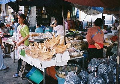  【世界の なにコレ？】−お店の顔はブタの顔（東北タイ）