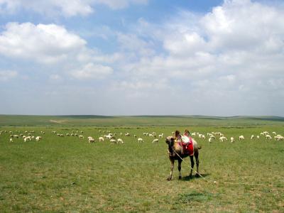 中国2004　～フフホト～　内モンゴル　大草原