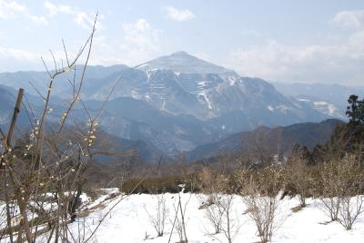 暖かさに誘われての奥武蔵ハイキング①芦が久保～日向山