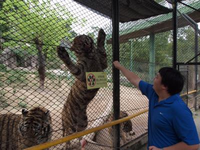 どっかいきたいな　深セン動物園