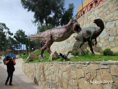 世界遺産スクレ：恐竜の足跡