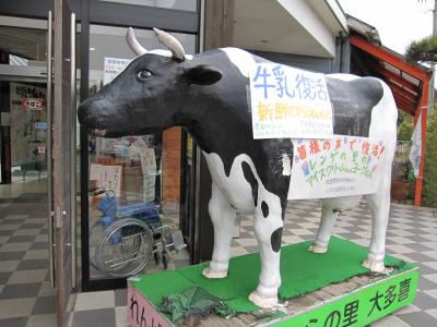 プチコーナー♪(千葉周遊)