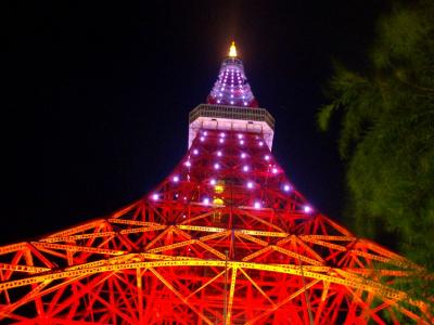 たまには東京タワーでも  3月赤紫Ver.