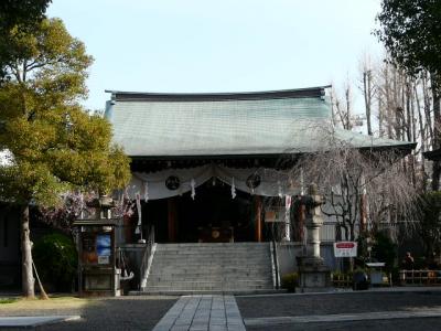 香取神社で桜の木探し