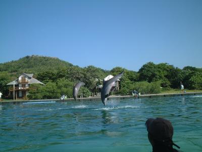 カリブの楽園　ホンジュラス