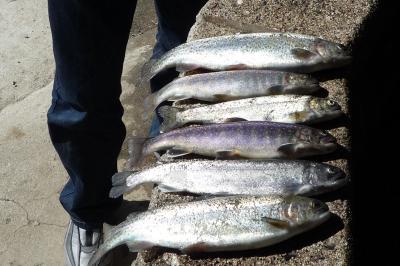 山梨釣り掘りと恵林寺