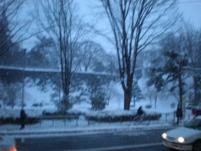 東北・・・雪の盛岡城址公園と夜の街