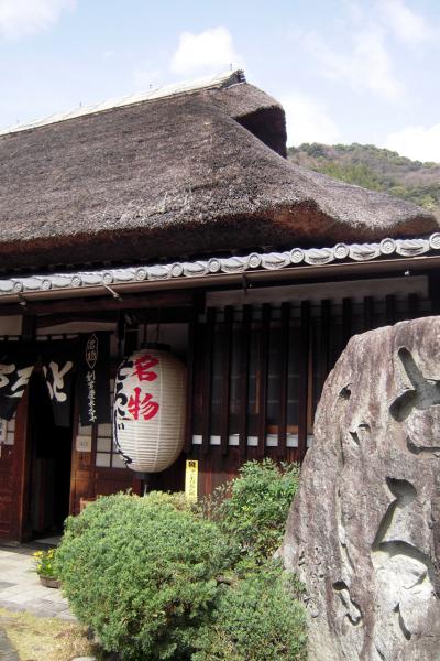 静岡満喫。絶景＆グルメ前編（三保の松原～富士宮）