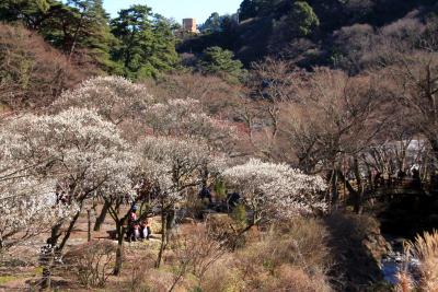 第66回 熱海梅園梅まつり