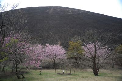 MTBでウロウロ…　=大室山・伊豆高原=