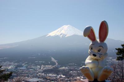 河口湖早春ドライブ