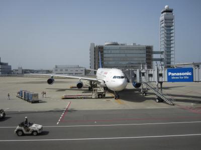 春先エジプト旅行2010その１ ～カイロ到着も、思考カイロ停止～