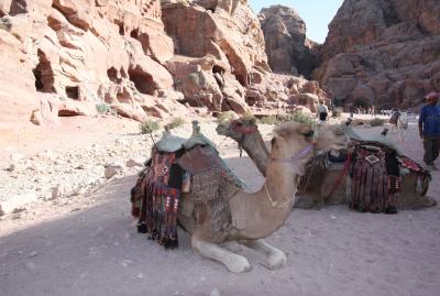 ヨルダン旅行記～その③ベトラ編Ⅲ～