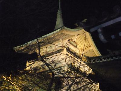 京都東山花灯路　いけばなを満喫