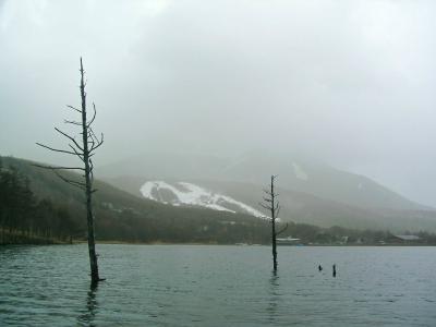 蓼科高原・長門牧場