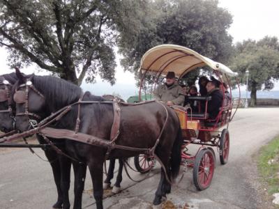 ハッピー!ウンブリア食探訪記。1。PERUGIAのホテル