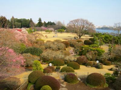 偕楽園で観梅＆水戸の老舗で舌鼓