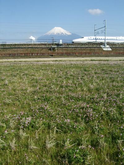 今朝の富士と新幹線(０３／２２)