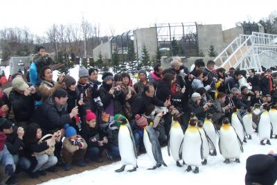 2泊3日で北海道：　旭山動物園は期待どおり♪