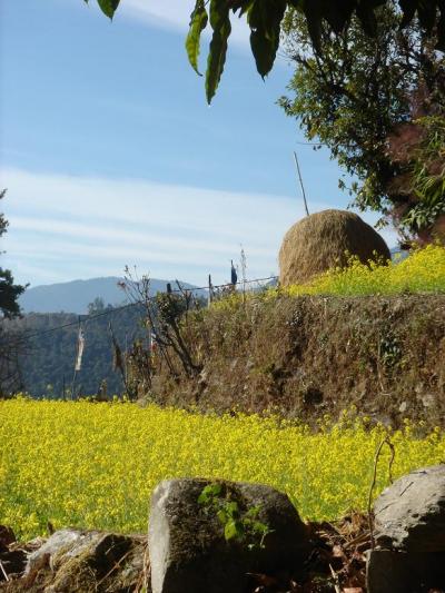世界の屋根を仰ぐ！アラサー ネパール・ヒマラヤの旅 vol.3