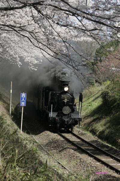 春だ！はやぶさだ！なはだ！！ＳＬだ！！！