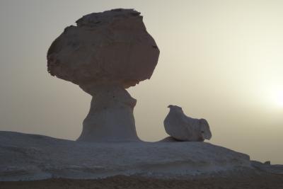 ワンダフル☆エジプト②～砂漠でキャンプ編～