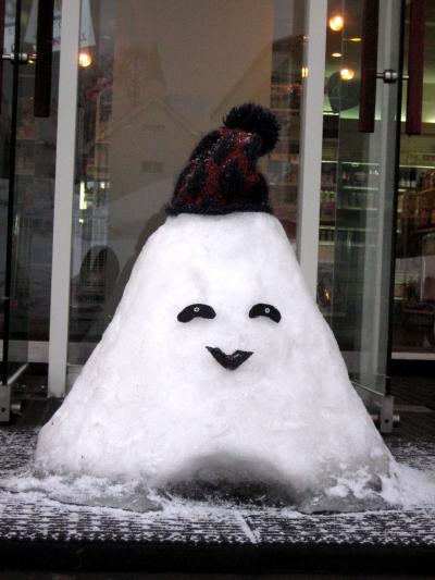 憧れのニセコスキー