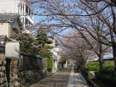 龍馬の足跡をたどる旅　①龍馬の生まれた町　高知市上町　