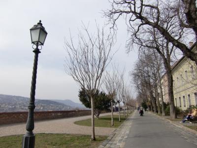 ブダペスト～ウィーン　旅の目的？その②