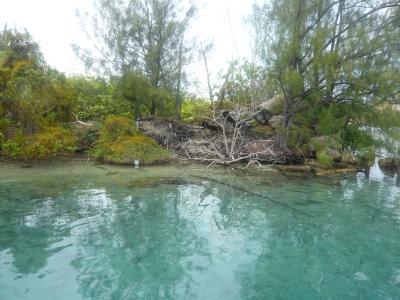 【のんびりグアム】タモンビーチ　～きれいな海を撮りまくる～