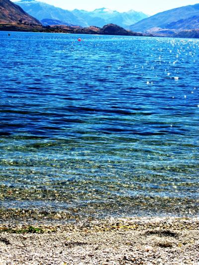 ＮＺ-29　 深く青いワナカ湖畔で休憩　☆内陸のリゾート地は人気