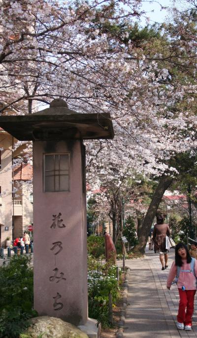 手塚治虫記念館と桜の花と乙女餅…宝塚の花の道を歩く…