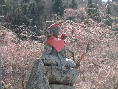 今年も森の妖精をもとめてのハイキングを実行①上福岡～法善寺迄