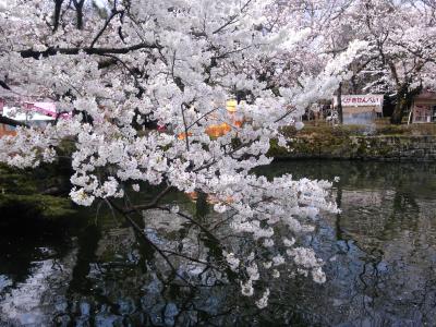 '10　3月　伊豆長岡～三島へ1泊旅行