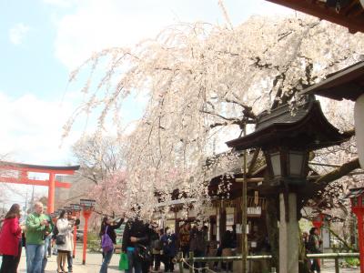 2010年3月　～　北野天満宮 ・ 平野神社　～