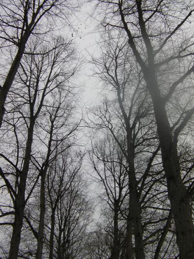 【ちょっともう1回行ってみます to norway】④