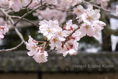 秀吉の花見で有名な醍醐寺