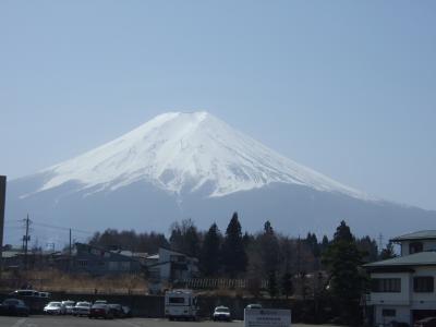 忍野八海って海じゃないんですか？～河口湖と富士急ハイランドの旅～　/　山梨　1