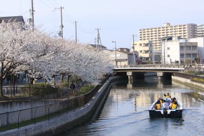 堺市内散策　方違神社、菅原神社、開口神社、そして土居川沿いの桜