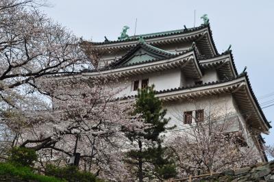 和歌山への旅(和歌山城) - 2010年3月