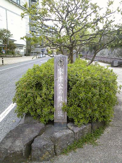 鳴くまで待とうほととぎす♪春うらら駿府公園