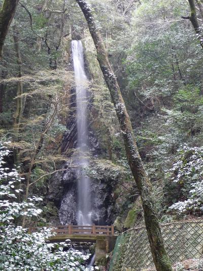 滝紀行◆三重県いなべ市の滝めぐり 『鳴谷滝』＆『白滝』