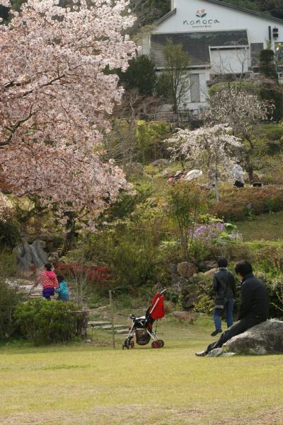 牧野植物園