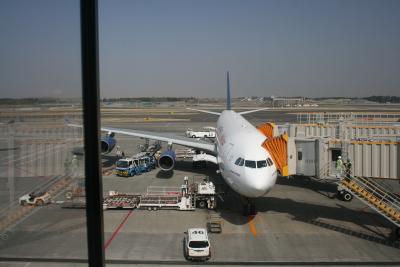 初海外＆一人旅　in エジプト　【１日目】