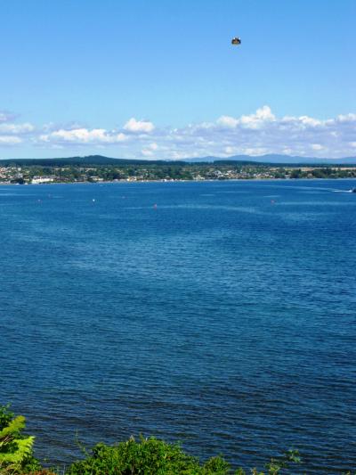 ＮＺ-49　タウポ湖はオセアニアで最大の淡水湖  ☆湖畔に花咲き誇り