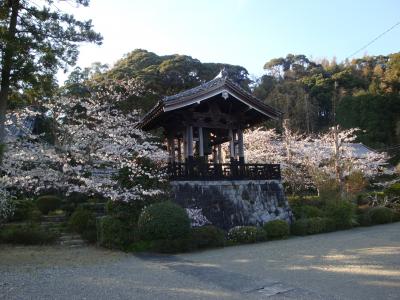 ◎遠州七不思議を訪ねて　②　子生まれ石と大興寺