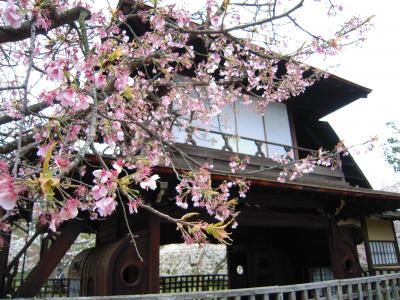 ３月末…春雪の舞う京都旅　～３日目京都駅周辺～