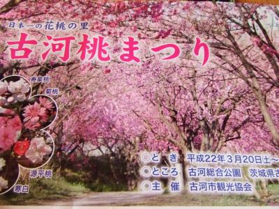 古河市の桃祭りと佐野プレミアムアウトレットに行く 古河 茨城県 の旅行記 ブログ By ママブー さん フォートラベル